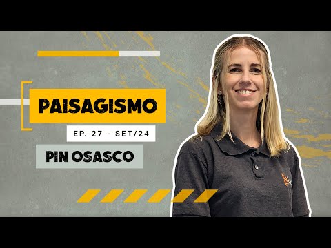 Pin Osasco