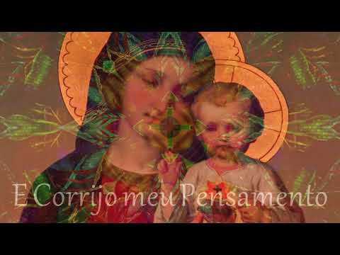 🎵 Vejo O Brilho ⭐ Padrinho Alfredo 💎 O Cruzeirinho