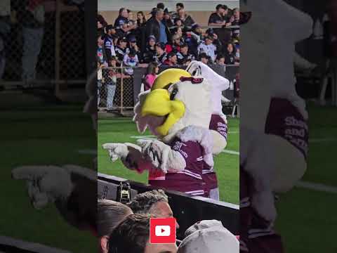 🥇 DCE's Last Game for Manly Heart Stopping Moments & Reactions! 🚨  Watch @BulldogBargins on YouTub