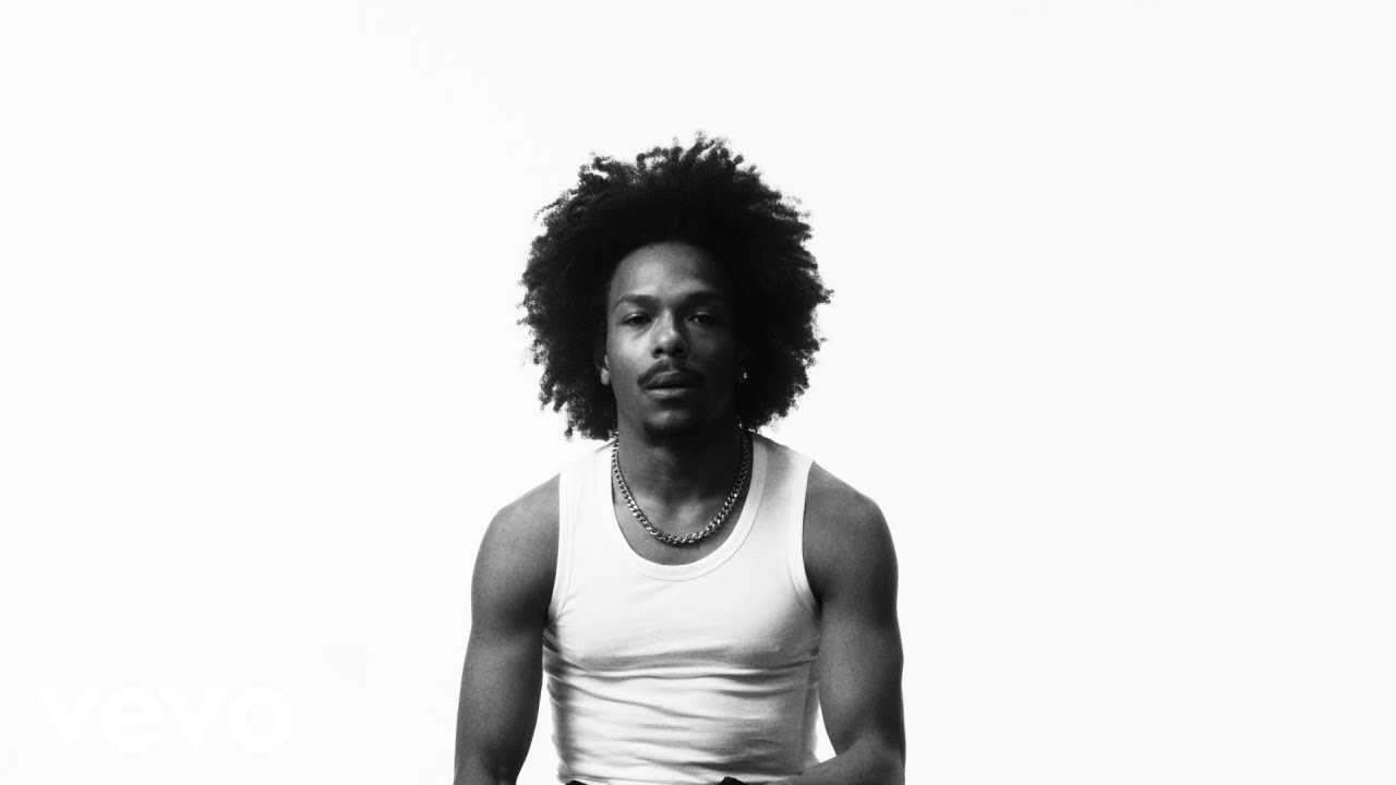 BERWYN – “DEAR IMMIGRATION”