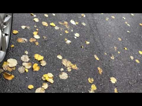 AUDI A4 3.0TDI,QUATTR,S"LINE,NAVI,LEDER,MMI,BANGOLUFS