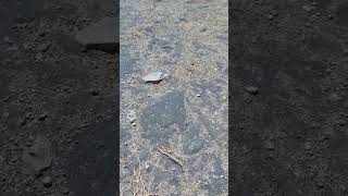 Asking Jeff Williams @Askjeffwilliams #colorado