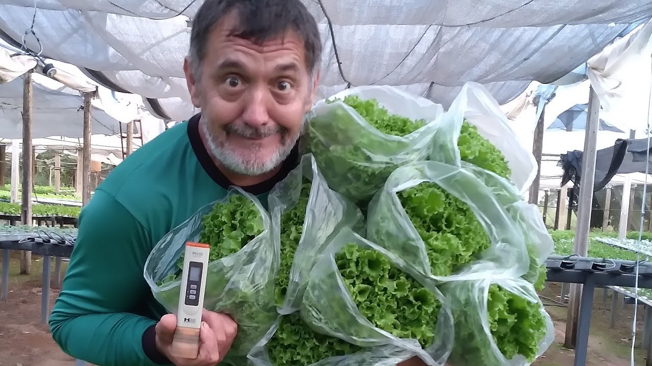 Como controlar o  pH baixo