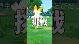 色違い背景ヒバニーに挑戦 #ポケモンgo #shorts
