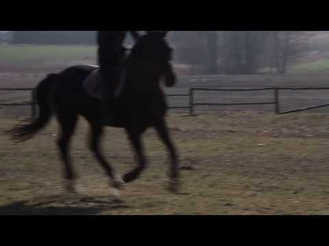 8 marzec 2014 Panicz