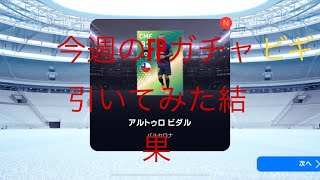 【ビギィ】FPビダル FPドンナルンマ今週のFP引いた結果
