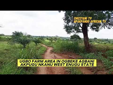 GREEN AREA IN OGBEKE-AGBANI AMAUZU-AKPUGO NKANU WEST, ENUGU STATE