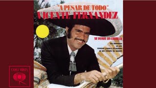 Vicente Fernández - La Lupe (Cover Audio)
