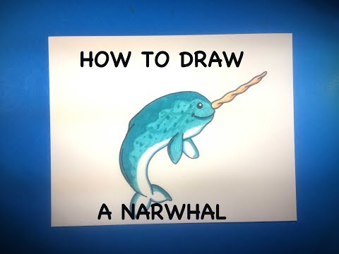 How to draw a Narwhal