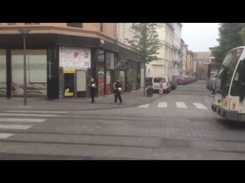 vvWoudenberg D1 moves, Antwerpen