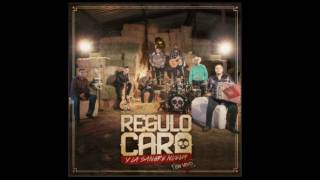 Gatos Vs Panteras- Regulo Caro