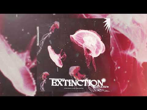 [30+] NARDO WICK LOOP KIT / SAMPLE PACK (LIL BABY, MONEYBAGG YO, NOODAH05, EST GEE, LIL DURK)