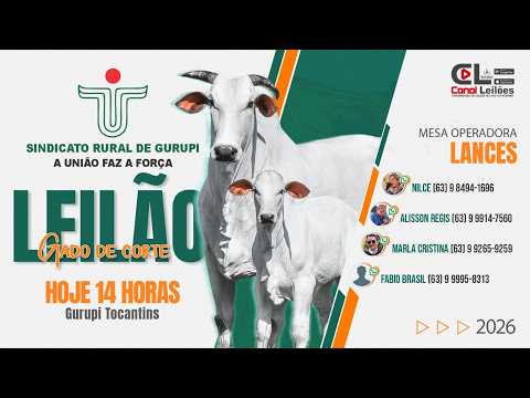 LEILÃO GADO DE CORTE SIND. RURAL DE GURUPI | GURUPI-TO