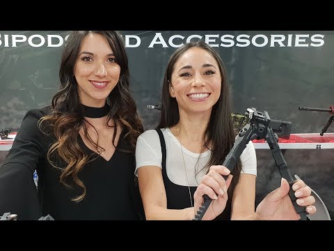 NEW Airguns: Shot Show 2019 - Pellet Pushers Report