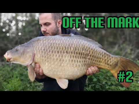 CARP FISHING | The BigPit - *Syndicate diaries* | Off The Mark!