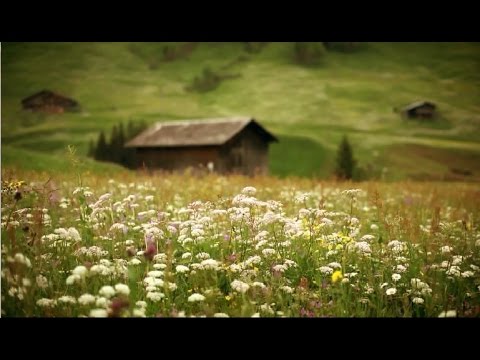 Emmi of Switzerland Brand Video