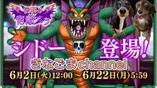【ドラクエ10】Lv304 雑談シドー デスマのアクセ作りたい