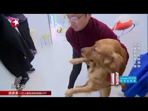 Go Fighting Season 3 Ep 1 Men at the Pet Shop
