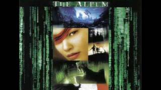 Junkie XL Feat. Saffron - Beauty Never Fades (Animatrix Edit)