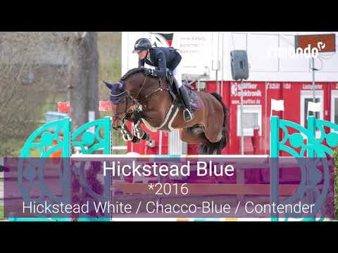 Hickstead Blue