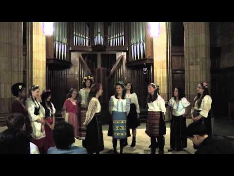 Tr'gnala e Malka Moma