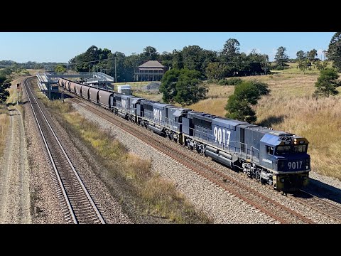 Triple Pacific National 90 Class Locos lead a Coalie past Lochinvar NSW 25-04-2021