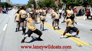 preview picture of video 'South Augusta Marching Unit - 2012 Laney State Championship Parade'