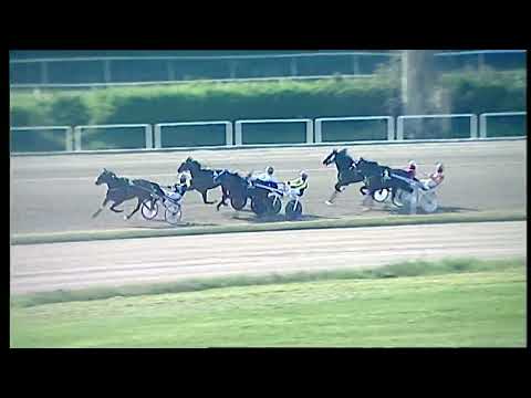 Napoli Trotto 25/03/2022 - 3ª corsa