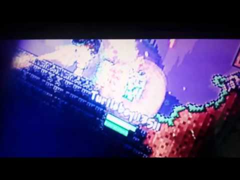 Terraria glitch ( dungeon guardian )