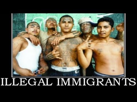 Breaking January 2019 News Record number of illegal immigrants tried to buy guns in the USA in 2018 Video