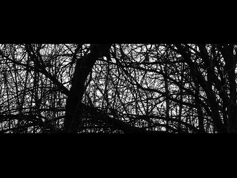 JOE LA REINA  -  Bailamos por miedo