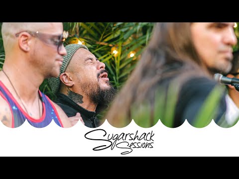 Locos Por Juana - Pal' Caribe (Live Music) | Sugarshack Sessions