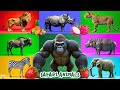 Safari Animal Sounds Song Nursery Rhyme For Kids Learn Animal Names And Sounds