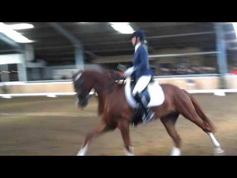 Gimmick.   Belissimo M x Jazz (2011)