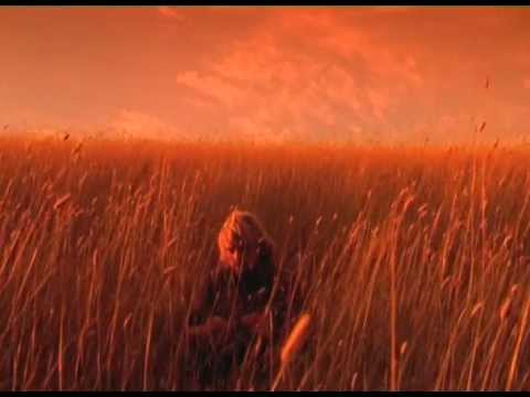 Xavier Rudd - Shelter (official film clip)