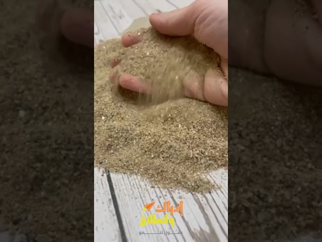 حقيبة رحلة اكتشاف الحركة والحواس لابطال التوحد