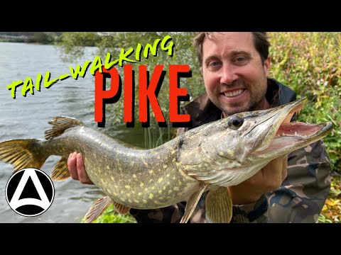 Episode 8. Lure Fishing Success (On a Big, Extreme Carp Lake)