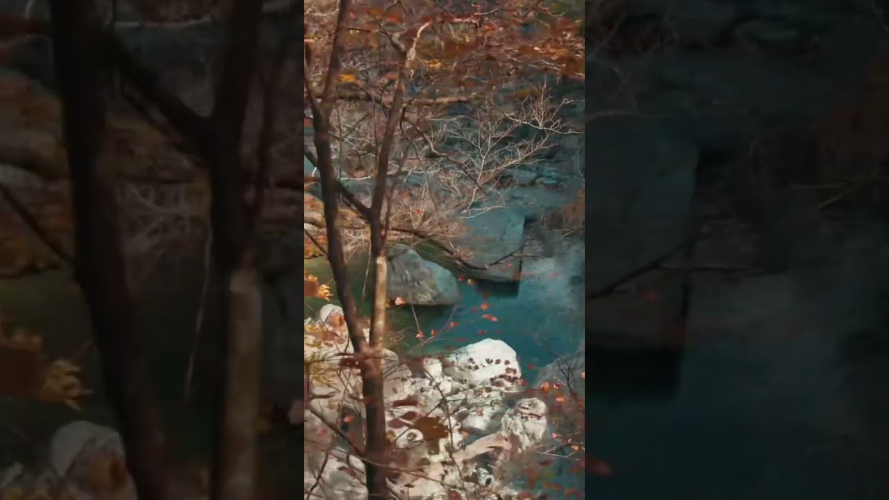 YouTube Short thumbnail