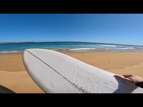 Album Twinsman - Intermediate surfers  board review