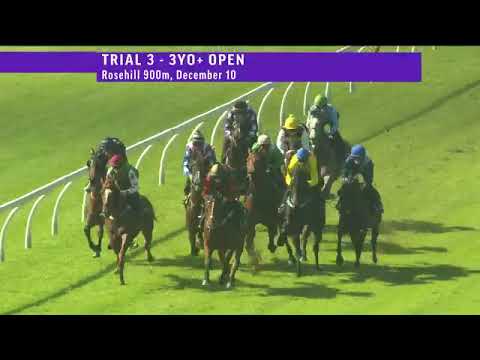 MAWJOOD trials at Rosehill