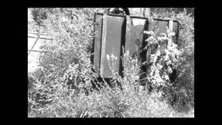 Buzz Fledderjohn by Tom Waits