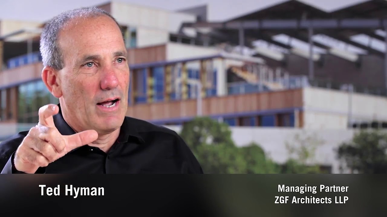 Insight and Conclusion