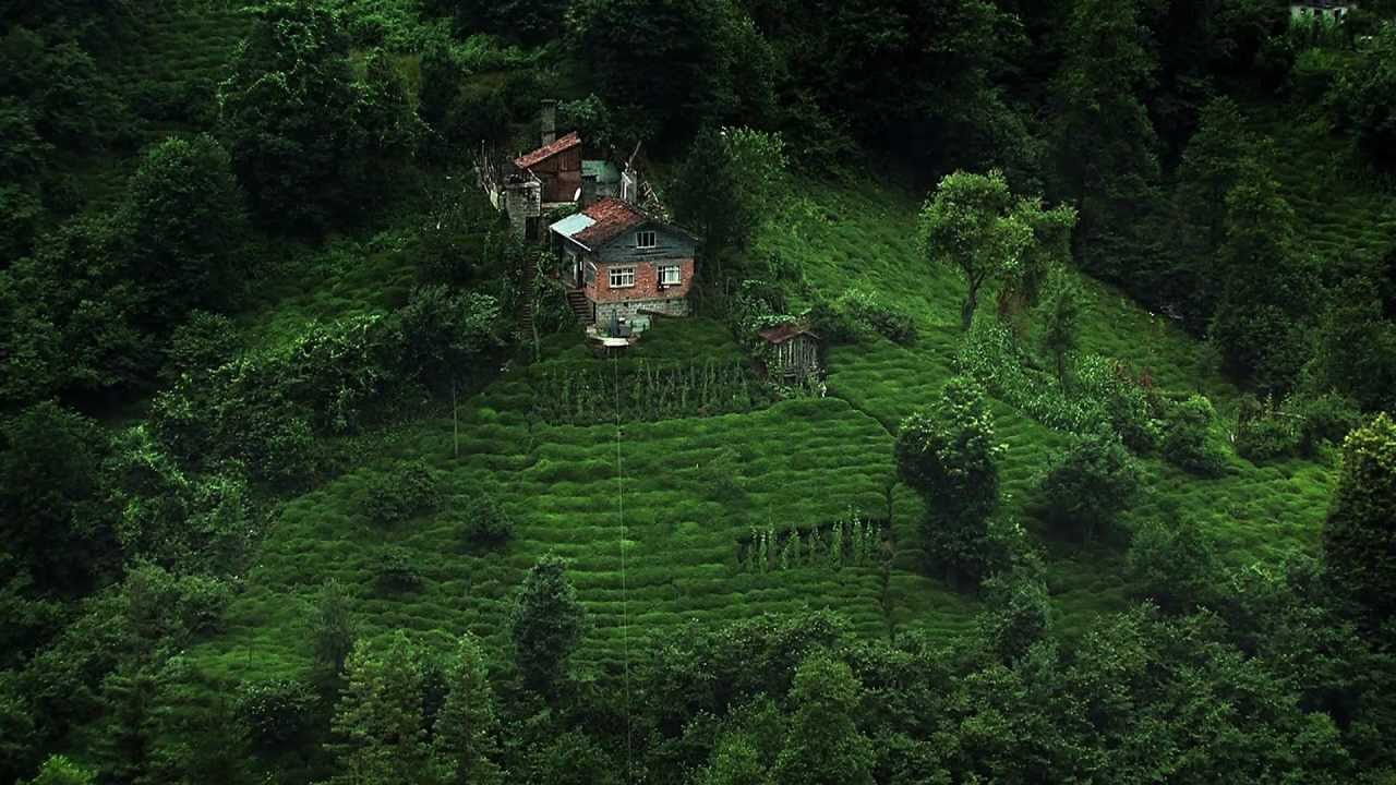 Der Müll im Garten Eden