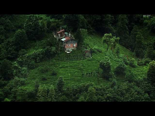 youtube play