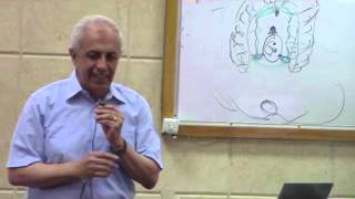 17) Dr.Medhat 30-4-2015 [ External genitalia of male and female-bony pelvis-perineal body - penis]