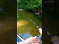 Micro Jig Bluegill #ultralightfishing #panfish #bluegillfishing #ultralightangler