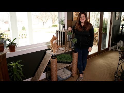 How I Made a Cat Tower Garden! 💚🛠🐈🌿// Garden Answer