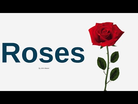 Roses