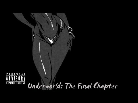 Video thumbnail for animal