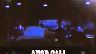 MI GUSTO ES AMOR CALI